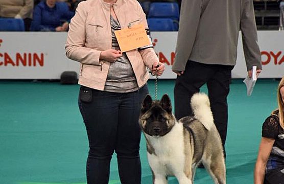 Eurodogshow Kortrijk 2015